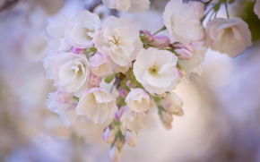 Оксана Горшкова