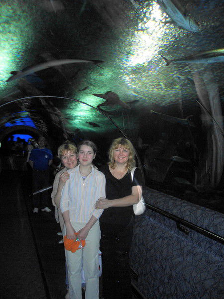 Любовь Соколова