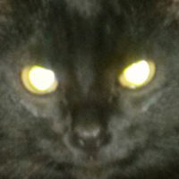 Сергей Архипов