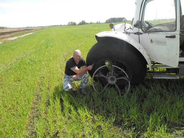 Эдуард Метлушко