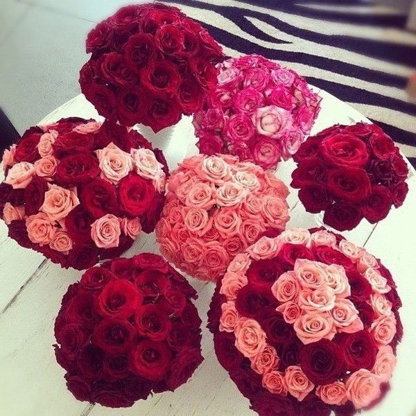 Альбина Шафиуллина