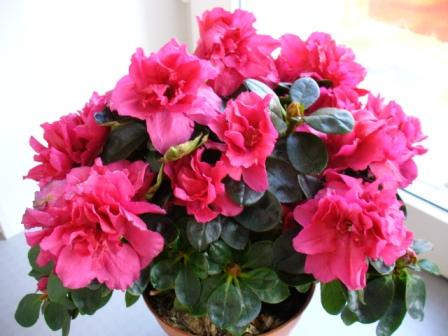 Павел Воробьев