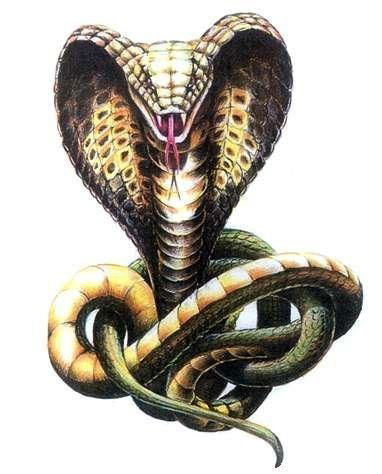 Ирина Фомичева