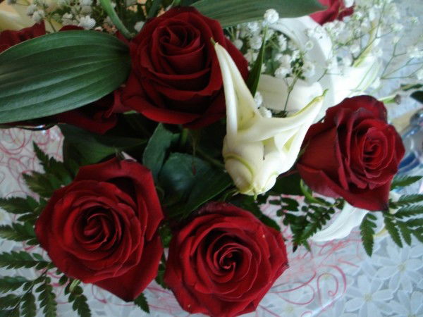 Лена Помаскина