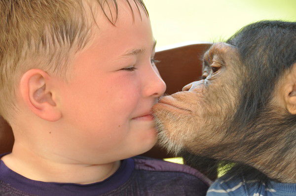 Елена Котова