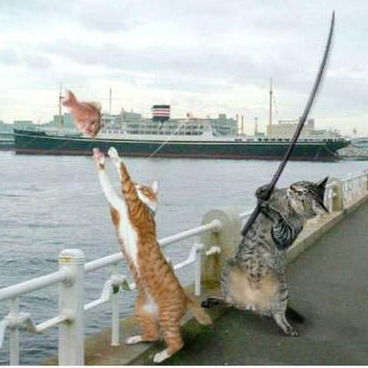 Светлана Комиссарова