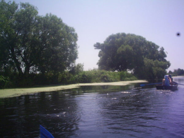 Ольга Шпаковская