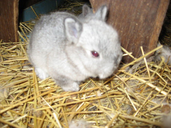 Наталья Романова