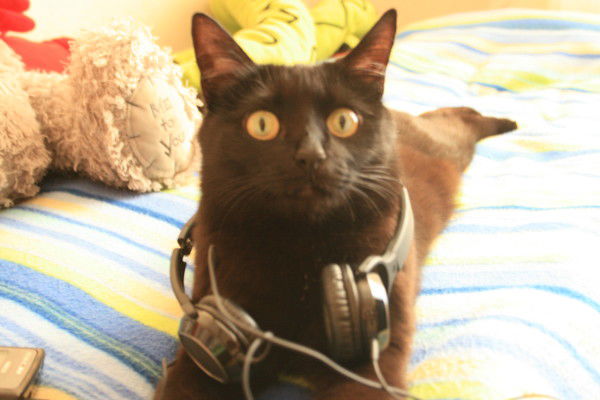 Елена Димакова