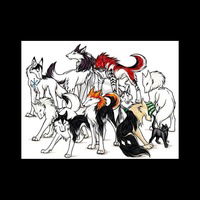 Настя Шапхаева