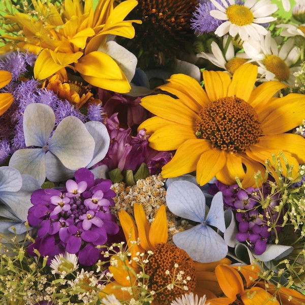 Светлана Иванова