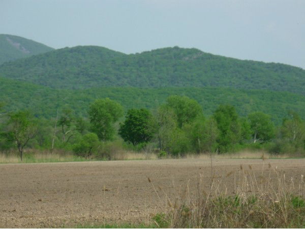 Макс Радкин