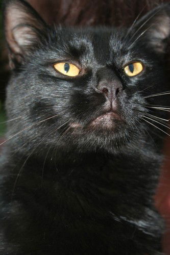 Ольга Быкова