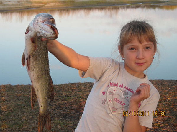 Инесса Лавриенко