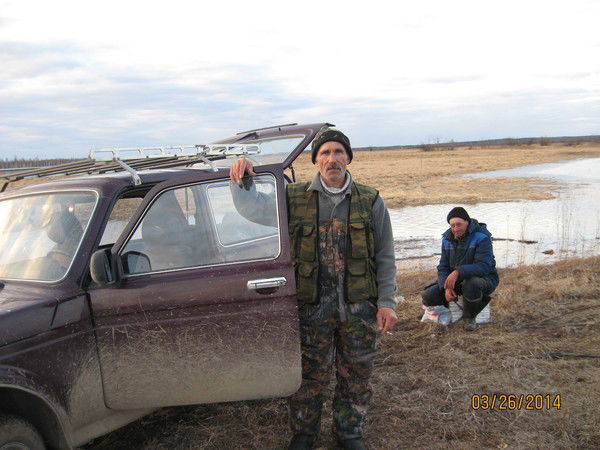 Шипицин Николай