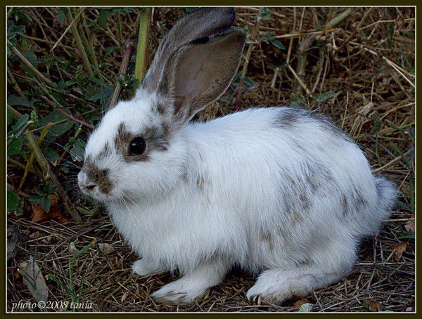 Леонтий Сек