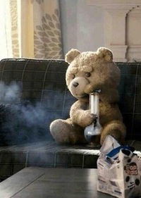 Максим Левин