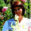 Елена Некрасова