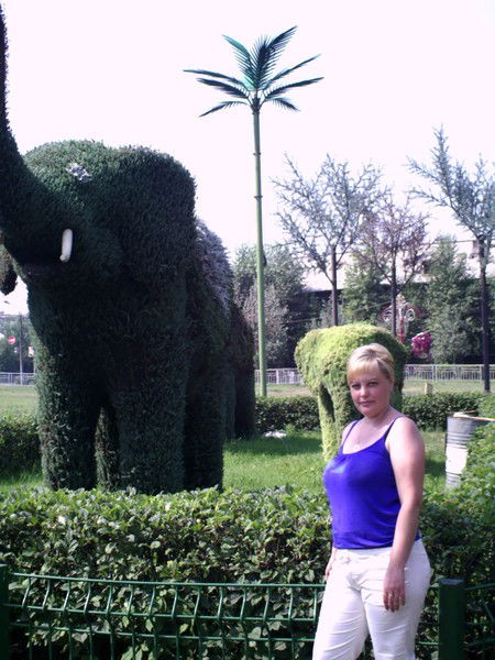 Ирина Лысенко