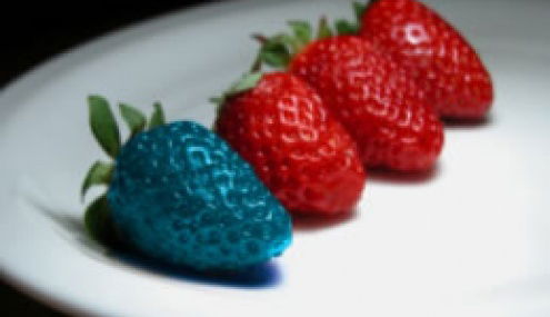 Крупкина Татьяна