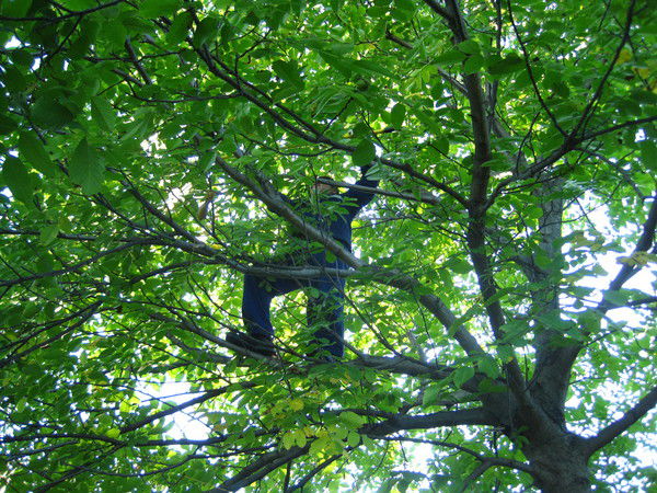 Виктор Леденев