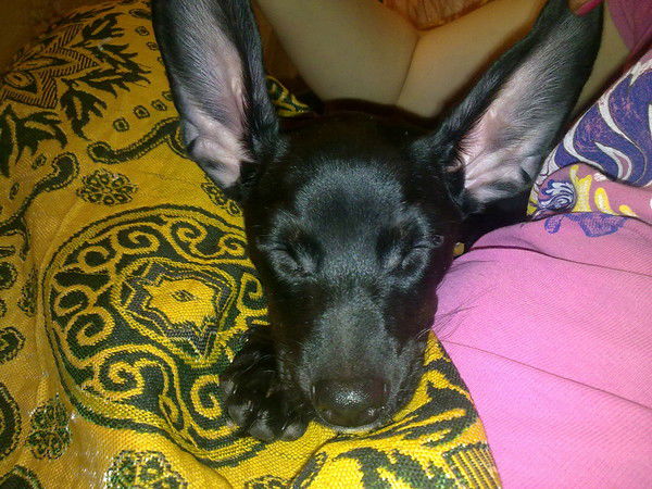 Лилия Родионова