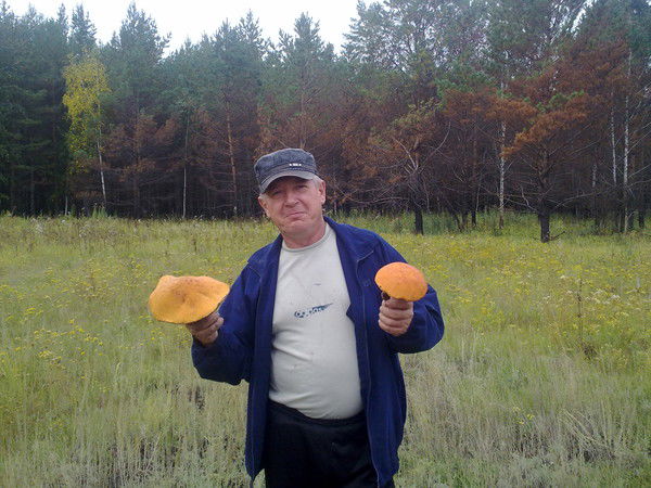 Александр Гаврилов