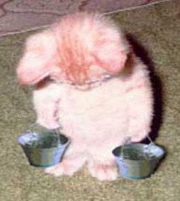 Роман Минко