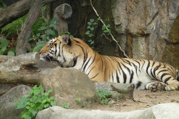 Александр Филатов