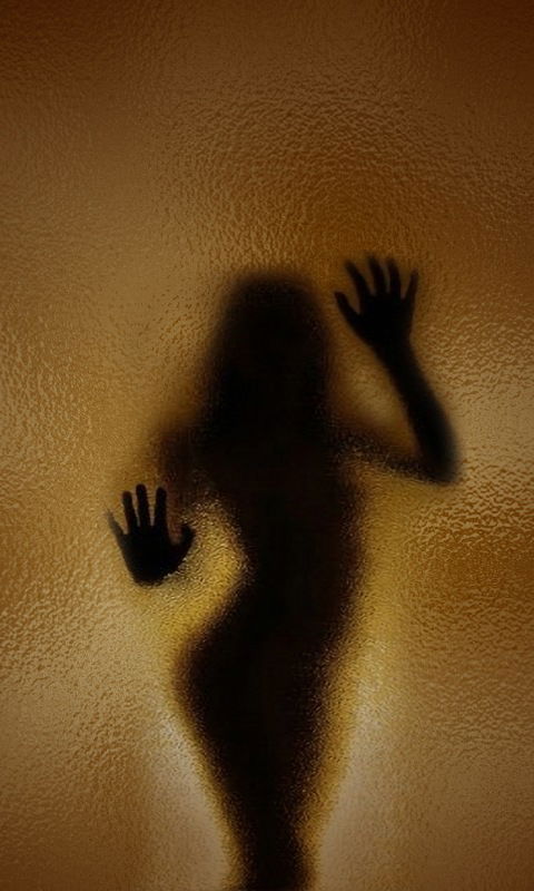 Роман Новицкий