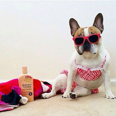 Алиса Серебровская