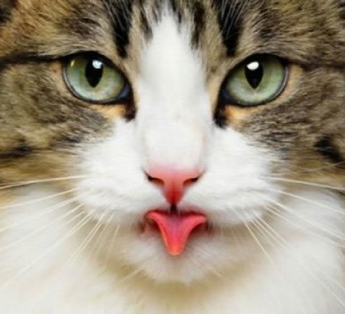 Андрей Борисович