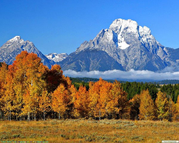 Ольга Мясникова