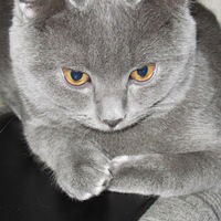 Вика Журавлёва