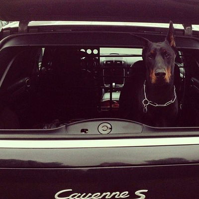 Максим Кулаков