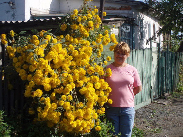 Валентина Цыгулева