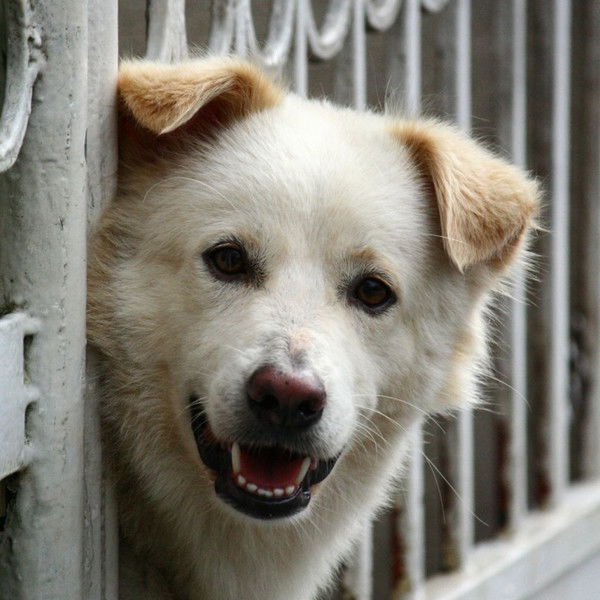 Яна Зиновьева