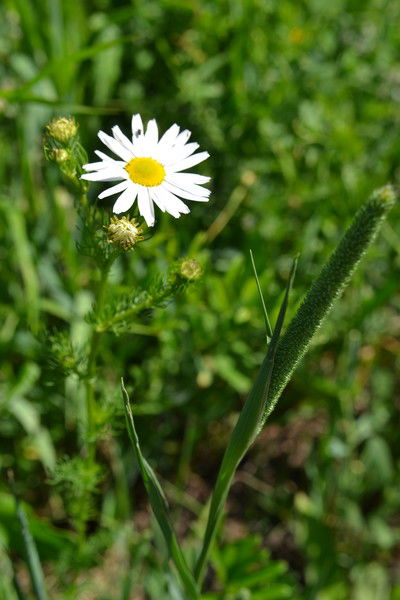 Ольга Федосимова