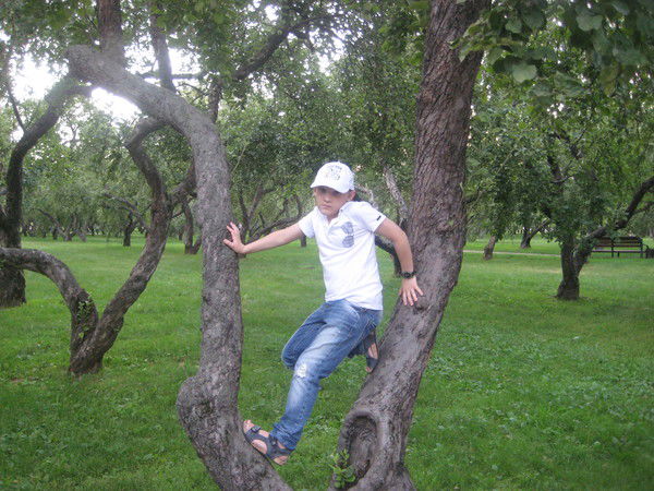 Илья Войлошников