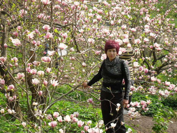 Таиса Нелина