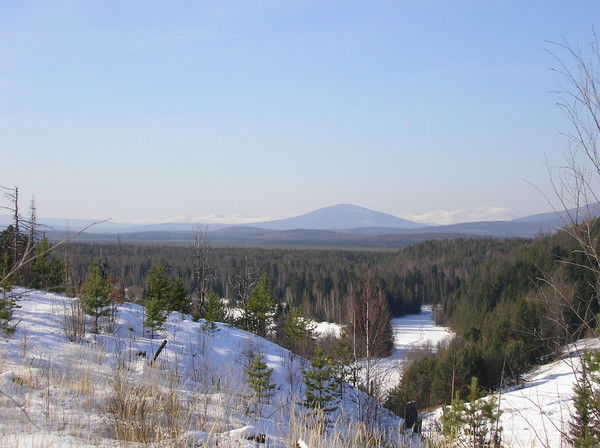 Михаил Васильев