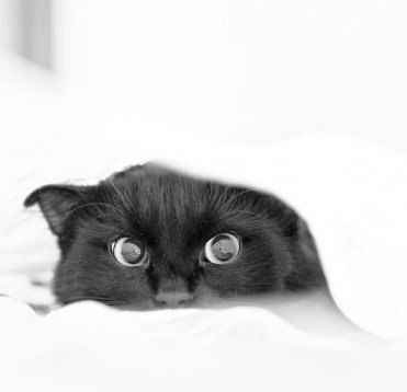 Евгения Рудницкая