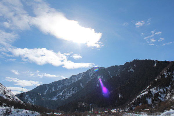 Данил Шмидт