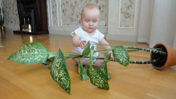 Наталья Серкова