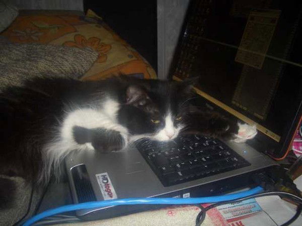 Сергей Подкаменный