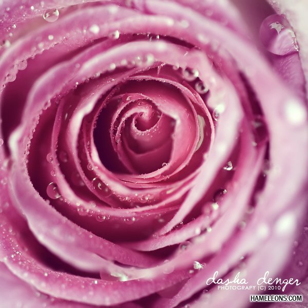 Майна Актив