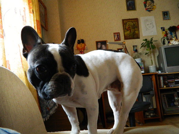 Андрей Азаров