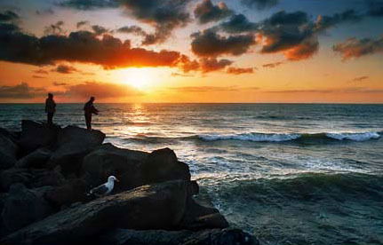 Отдел Занятости Алматинская Обл