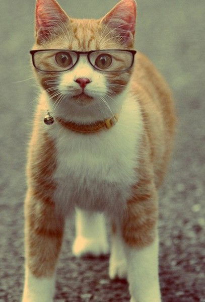 Евгения Ковалева