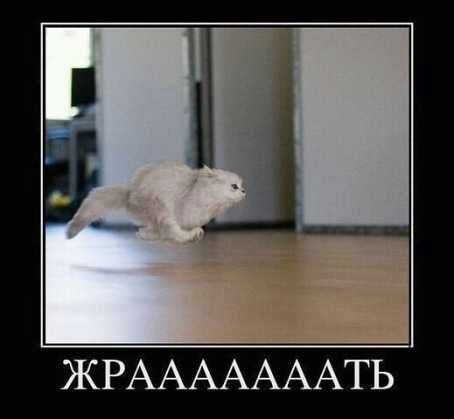 Иван Кочеров